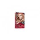 COLORSILK TINT.KIT T85B