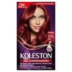 KOLESTON KIT REDS T5546