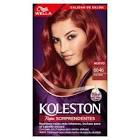 KOLESTON KIT REDS T6646