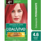 L'EAU VIVE TINT.KIT T4.6