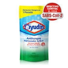 LIMPIADOR AYUDIN ANTI-HONGO DP 450