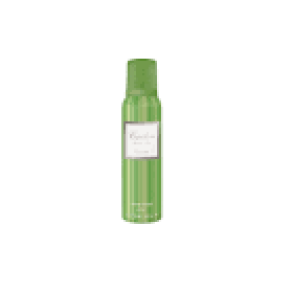 CARDON VIAJERA DESODORANTE EN AEROSOL x 123 ML