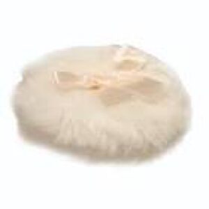 CISNE PARA POLVO (CUERPO) NT+